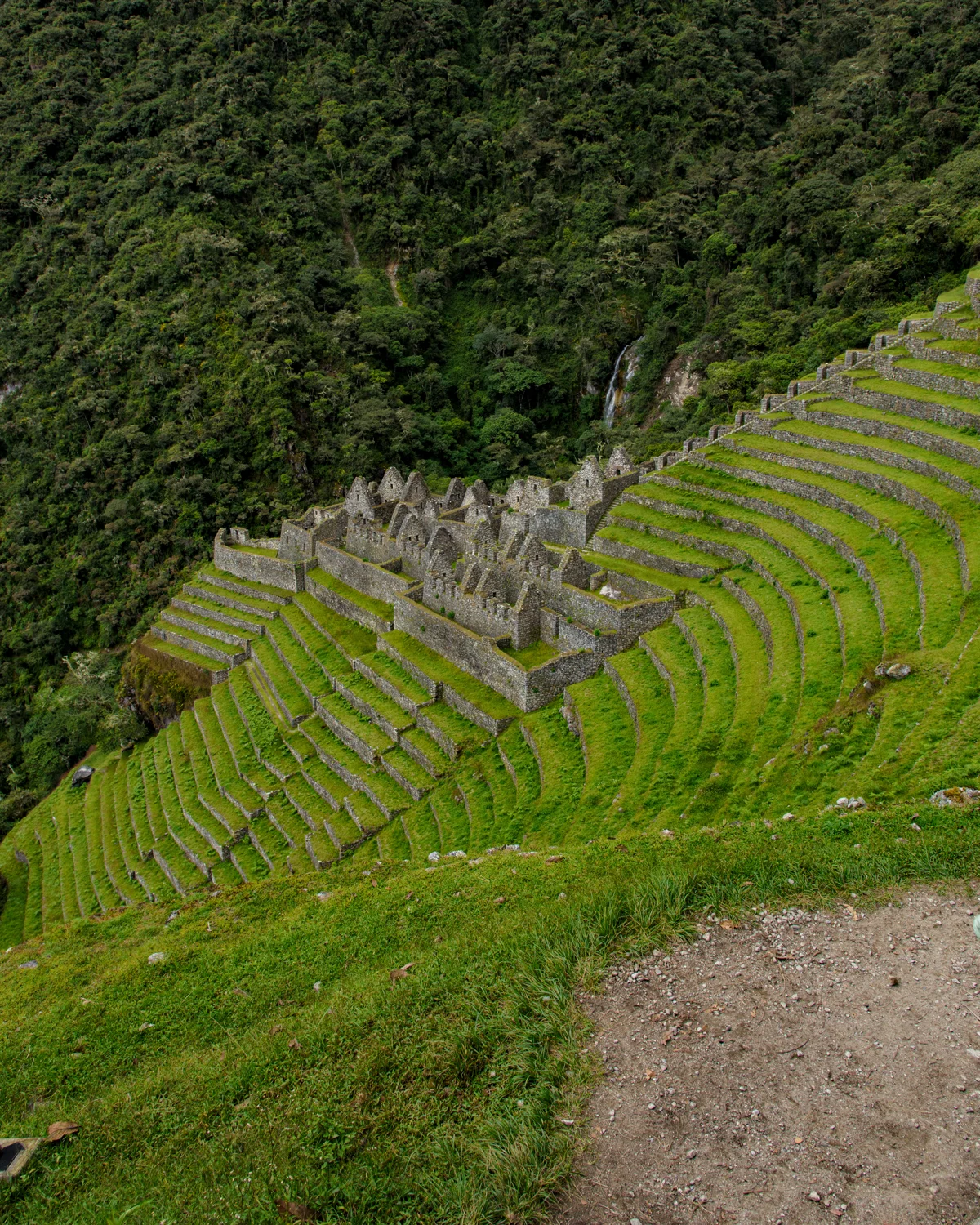 Wiñay Wayna’s stone buildings and terraces on a green mountainside