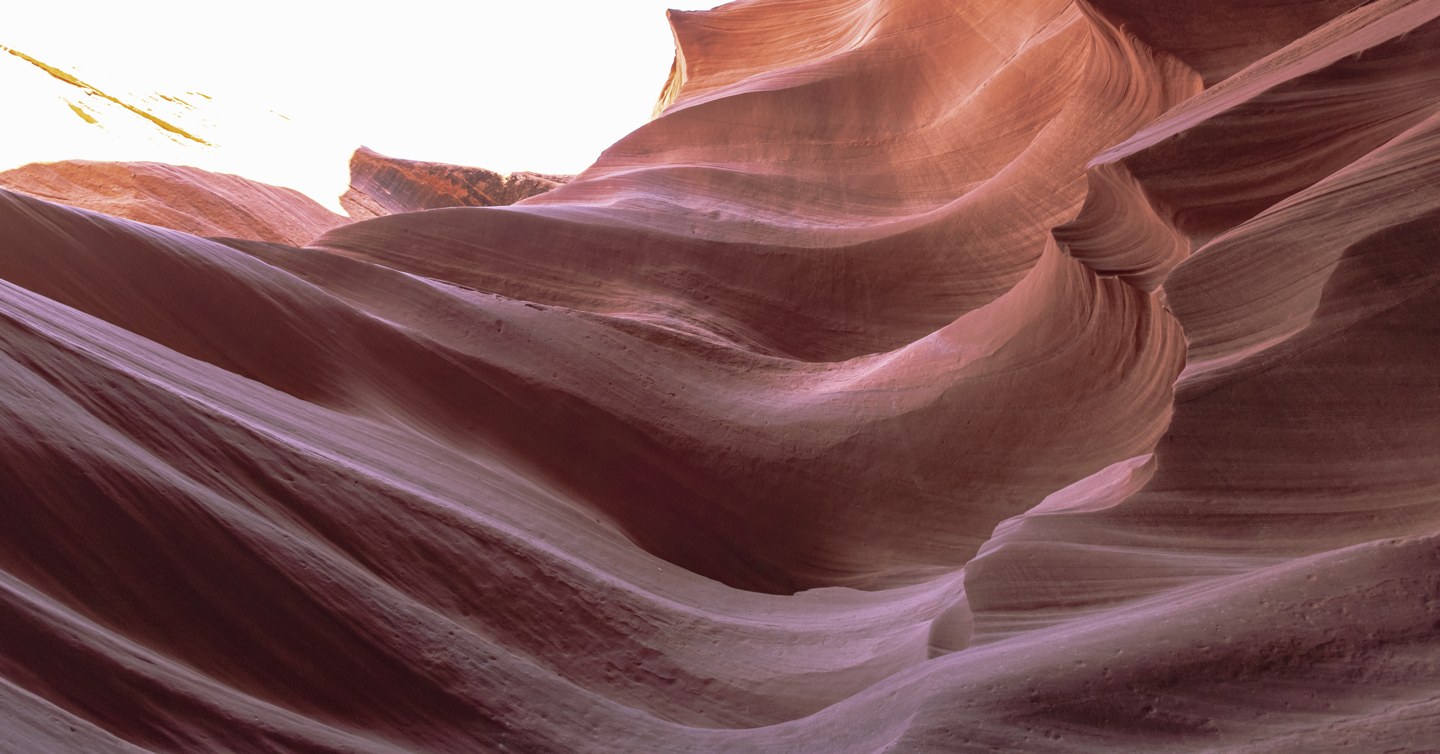 Abstract nature: finding pictures in patterns