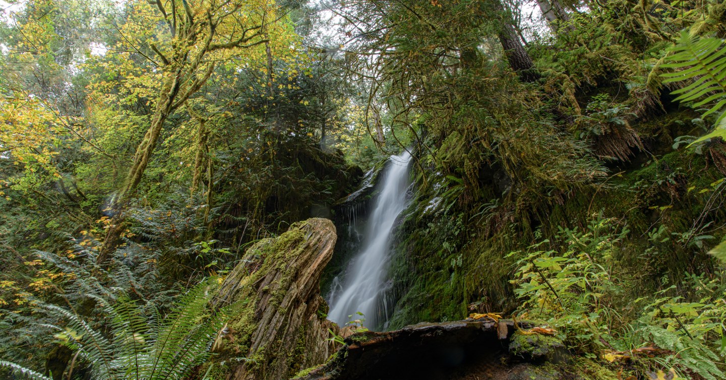 Water in motion: flowing falls and breaking waves