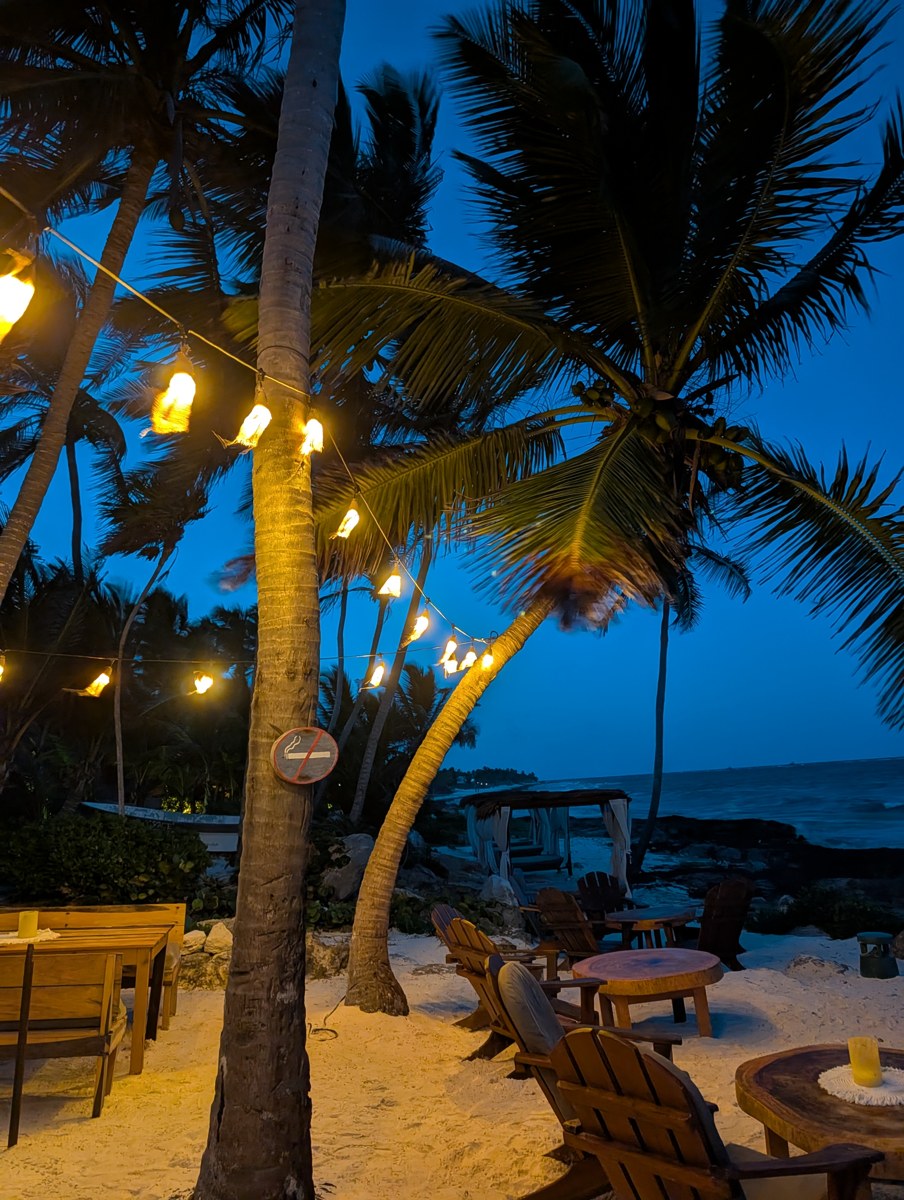 Palms and lights by the shore