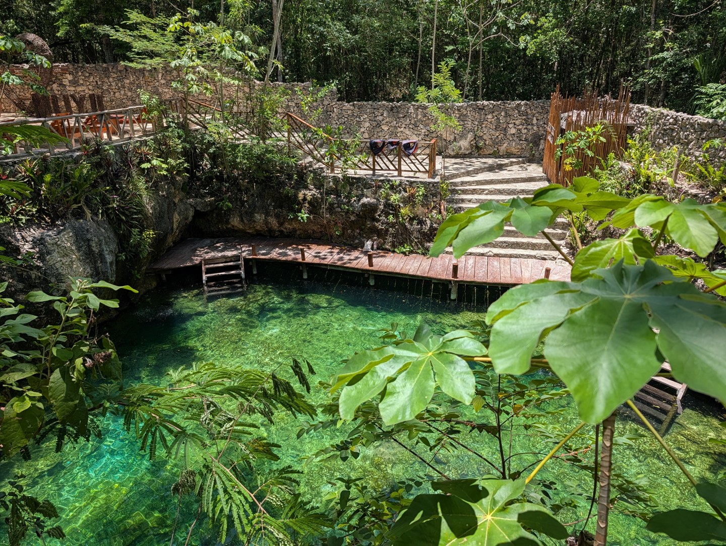 A green pool surrounded by vegetation