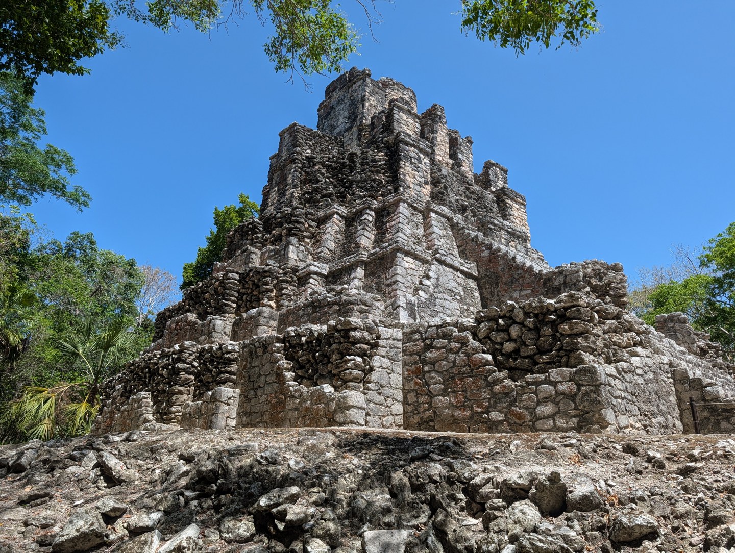 A stepped structure among trees