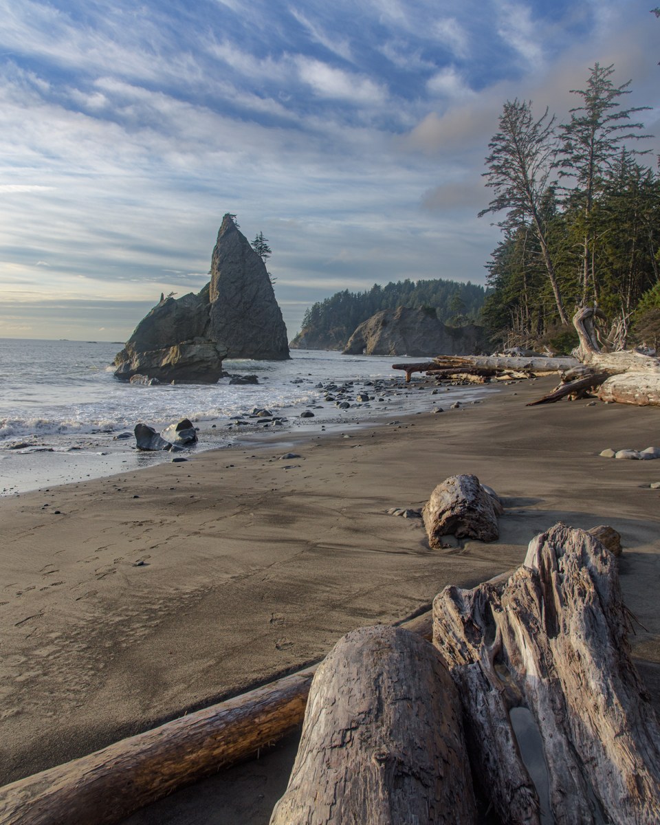 Sea stacks and driftwood
