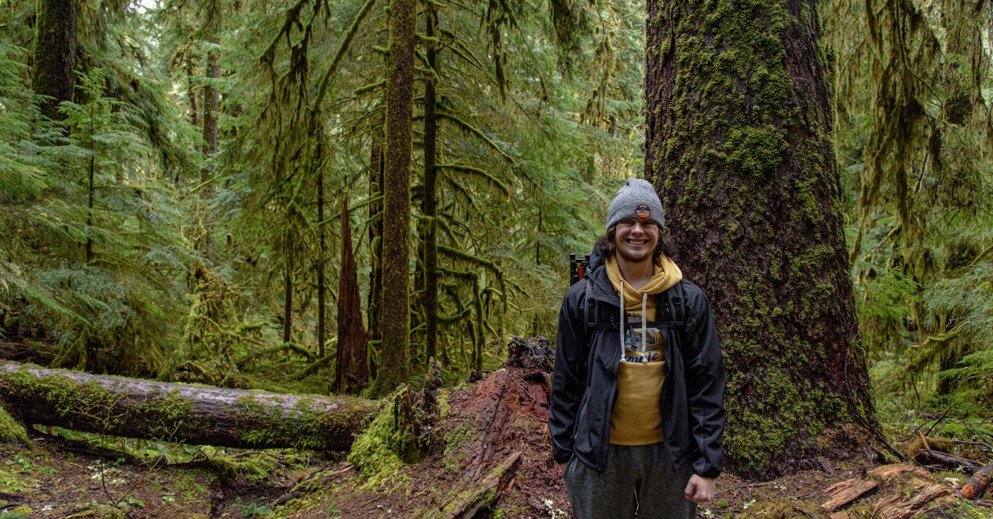 A person beneath the forest canopy