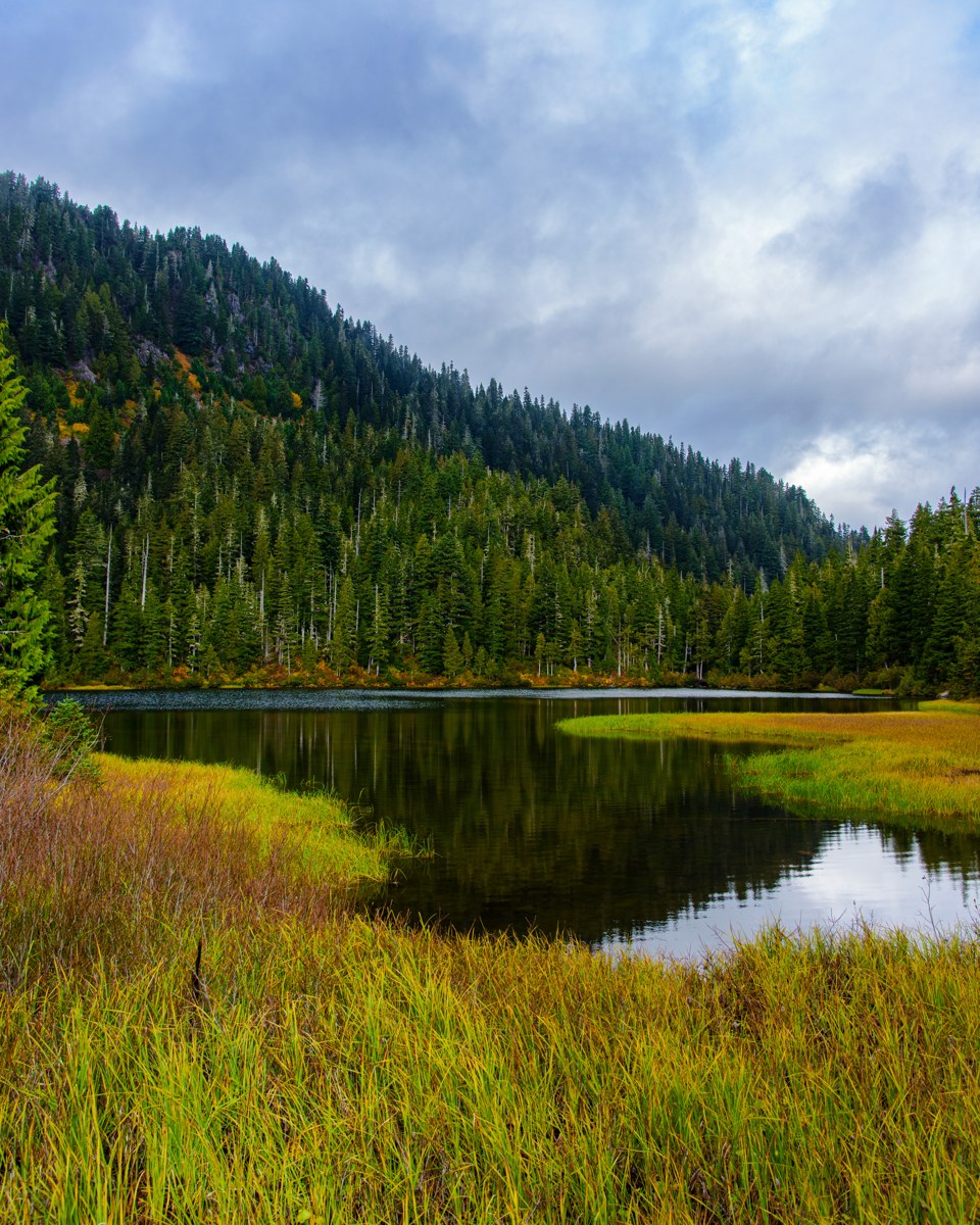 Water and wooded slopes